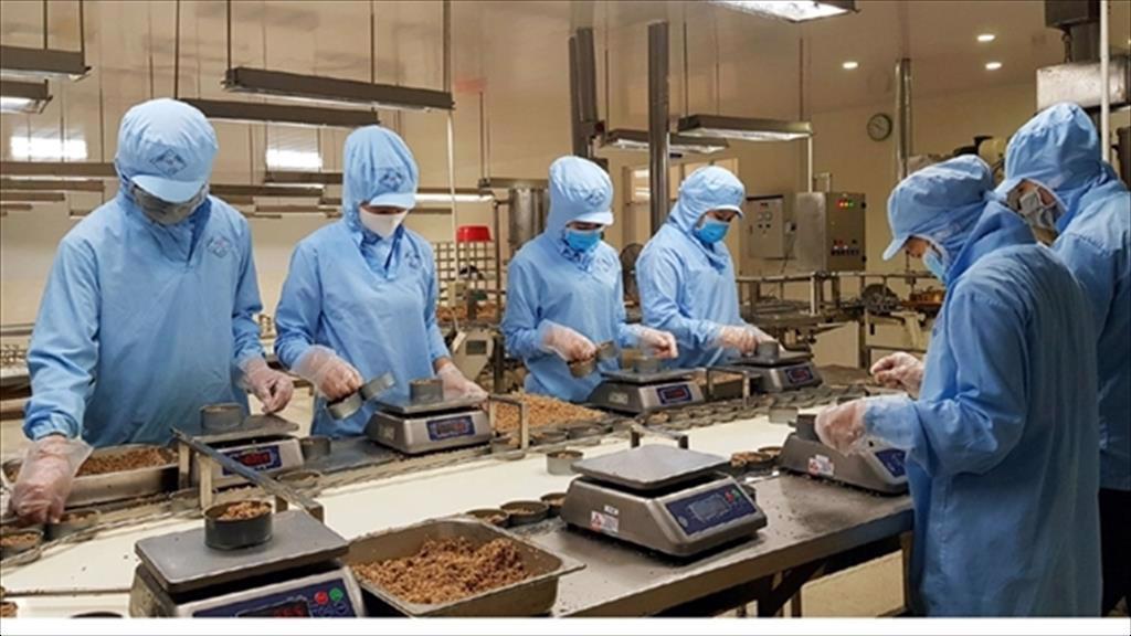 Cá ngừ Việt Nam bị sụt giảm thị phần tại Canada