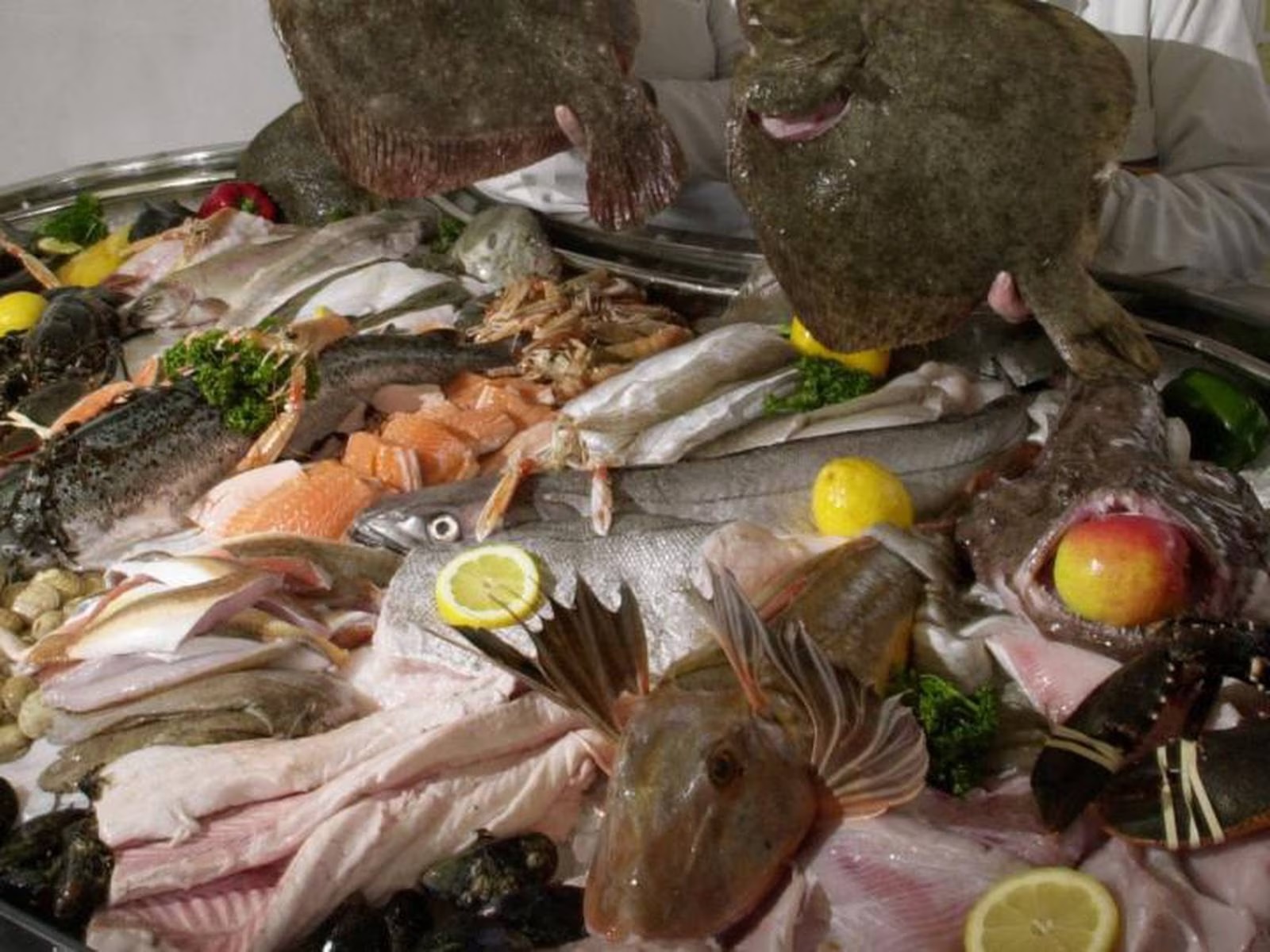 Kinh tế thủy sản của Ireland đạt 1,3 tỷ EUR năm 2022