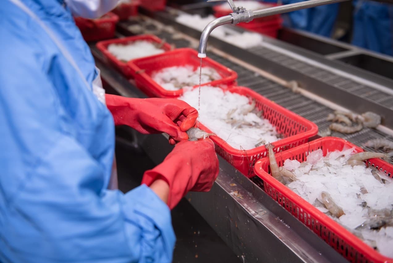 Changes in seafood products and markets in the first quarter of 2023