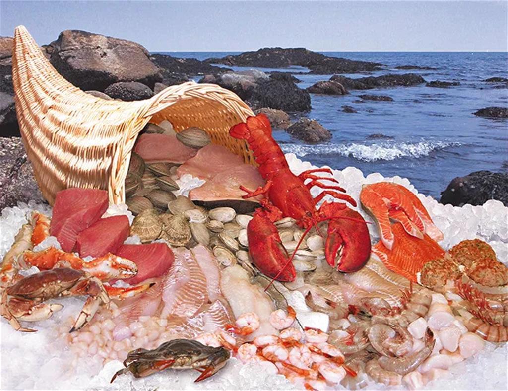 Bùng nổ ngành nuôi trồng thủy sản tại Australia