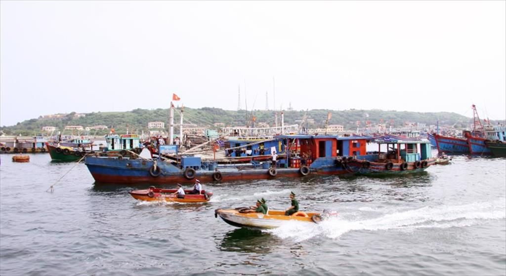 Hải Phòng nỗ lực tháo gỡ “thẻ vàng” IUU