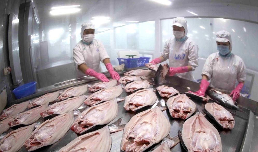 Vietnam’s pangasius exports are expected to grow after the second ...