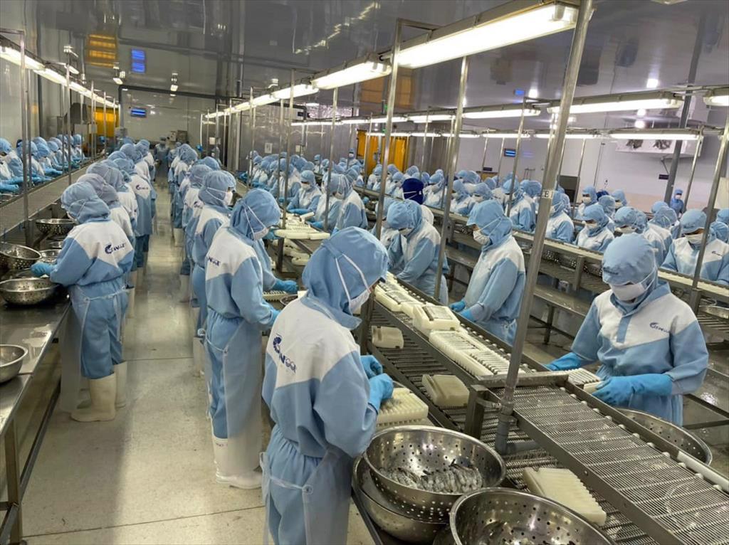 Xuất khẩu thủy sản tháng 42023 tiếp tục giảm 28%