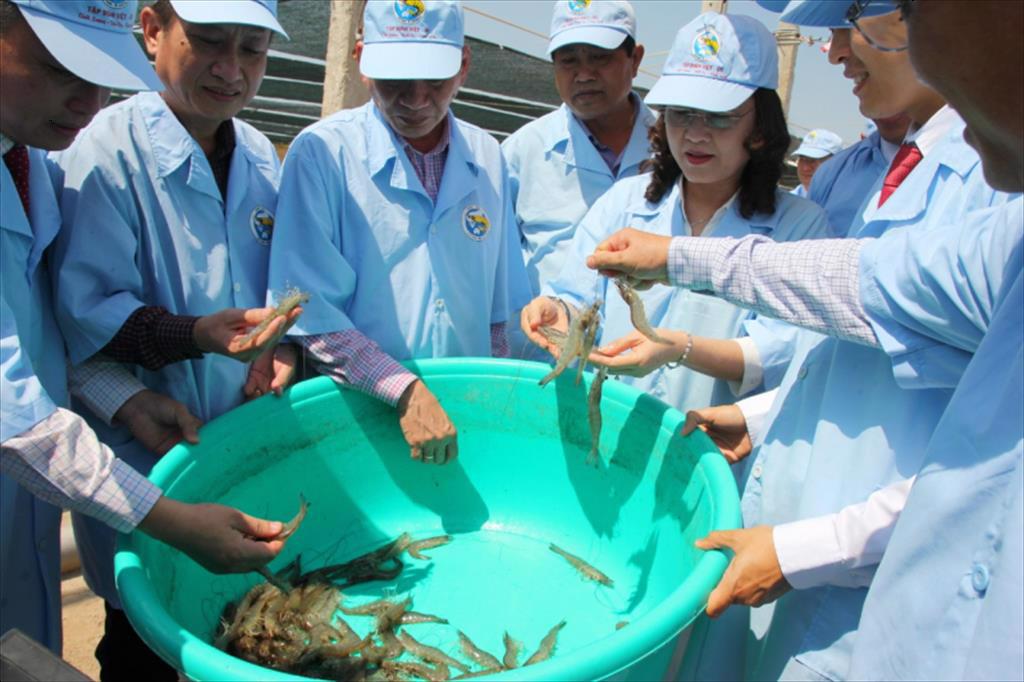 Xây dựng Bạc Liêu trở thành trung tâm ngành công nghiệp tôm cả nước
