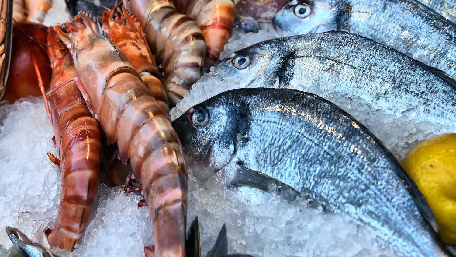 SSA phản đối thay đổi giấy phép nước ngoài trong kế hoạch mở rộng SIMP