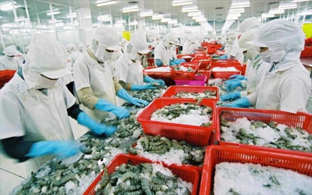 Điều chỉnh sản phẩm tôm xuất khẩu