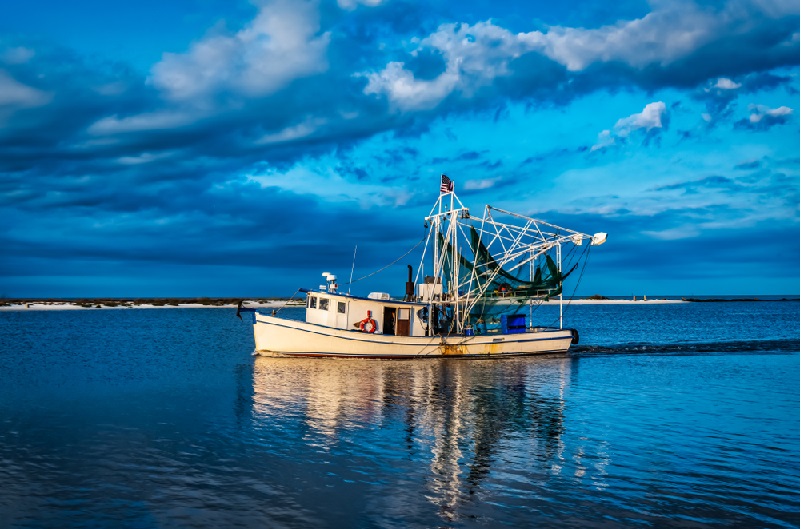 Mỹ Ngành tôm vùng Vịnh đạt chứng nhận MSC