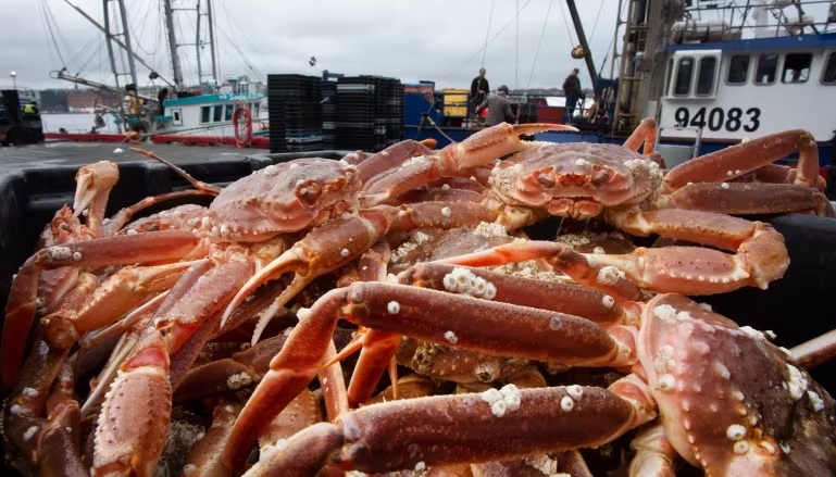 Canada thuyết phục Nhật Bản ngừng nhập khẩu cua Nga 