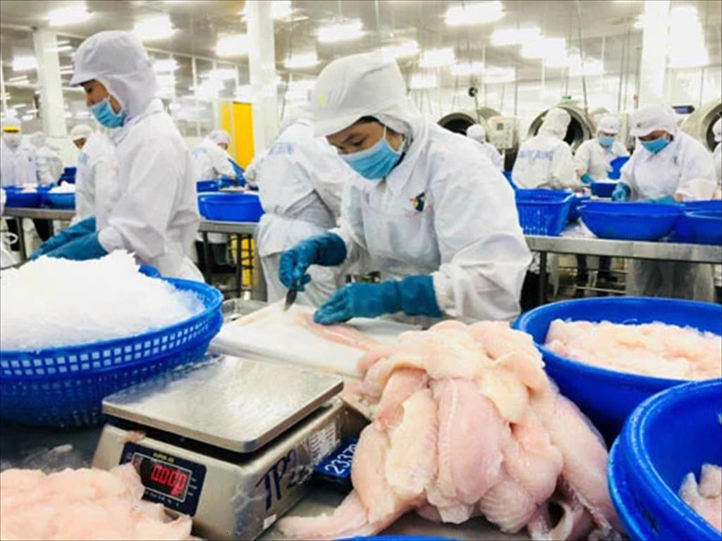 Ngành thủy sản nỗ lực cầm cự