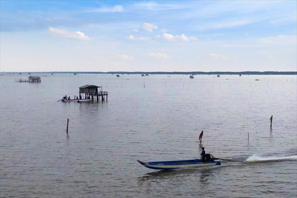 Nông dân đổi đời nhờ nuôi sò huyết