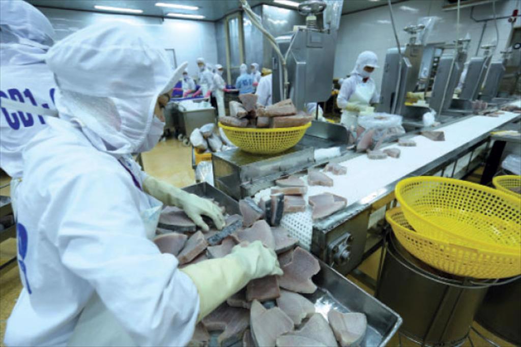 Xuất khẩu cá ngừ sang Pháp giảm liên tục