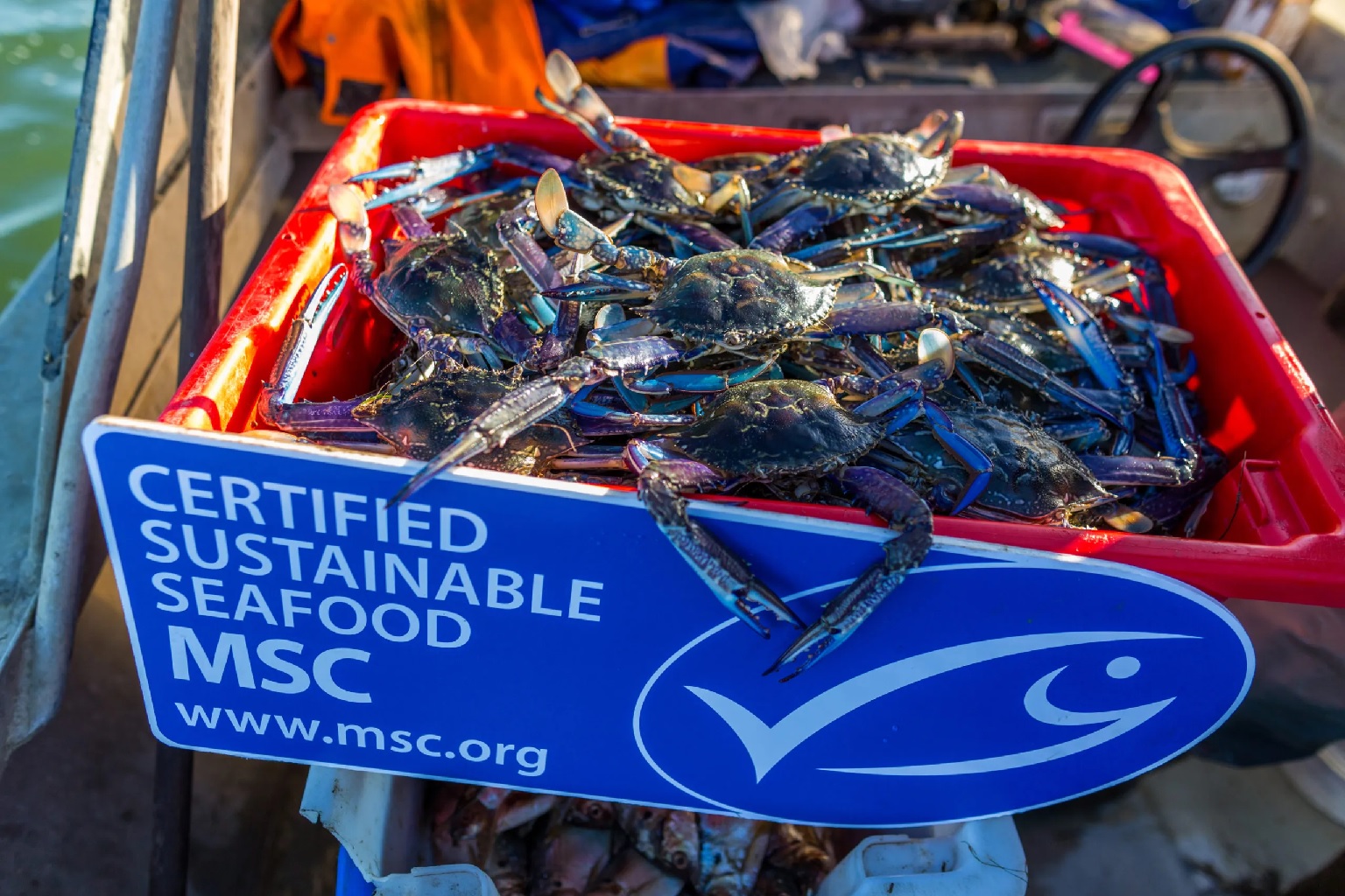 MSC tài trợ 930.000 USD cho 26 dự án bảo vệ loài có nguy cơ tuyệt chủng