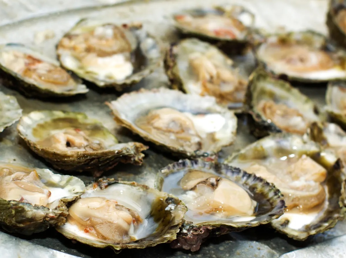 Brexit gây khó cho các nhà xuất khẩu thủy sản có vỏ của Anh