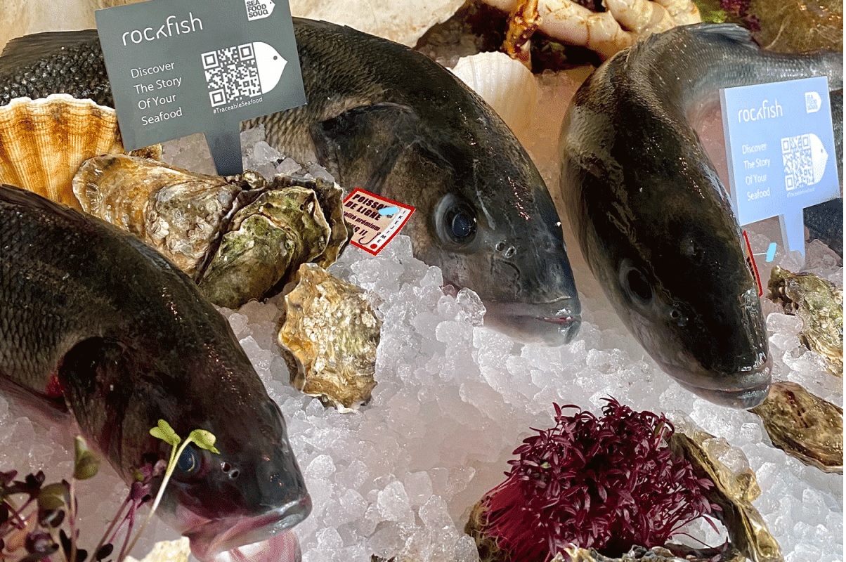 Dữ liệu thống nhất là chìa khóa để tăng cường truy xuất nguồn gốc thủy sản