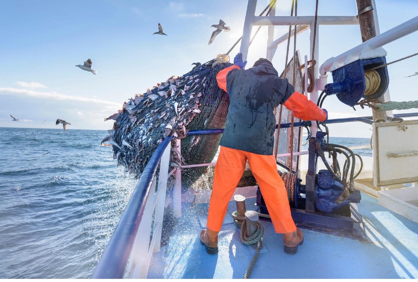 Trợ cấp sai cách dẫn đến lạm thác và đánh bắt bất hợp pháp