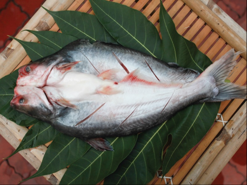 Why has seafood export to China not yet made a breakthrough