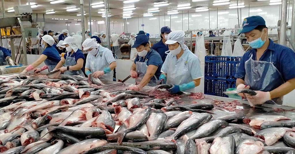 Sớm có chính sách hỗ trợ doanh nghiệp xuất khẩu thủy sản