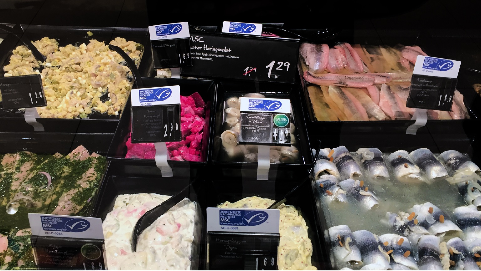 MSC lập chiến lược mở rộng thủy sản bền vững 