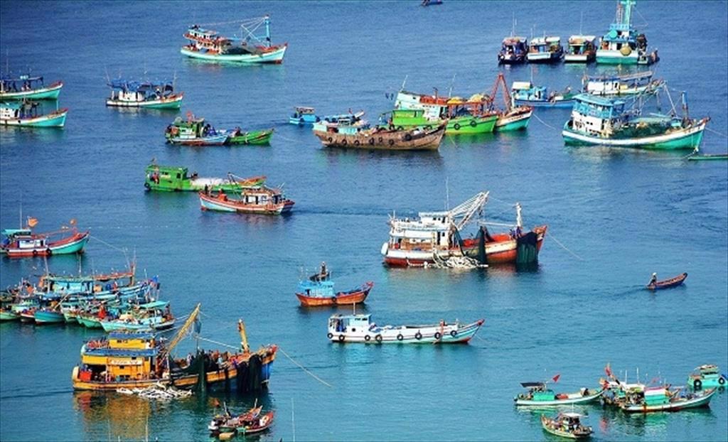 “Nốt trầm” của doanh nghiệp thủy sản trong quý đầu năm 2023