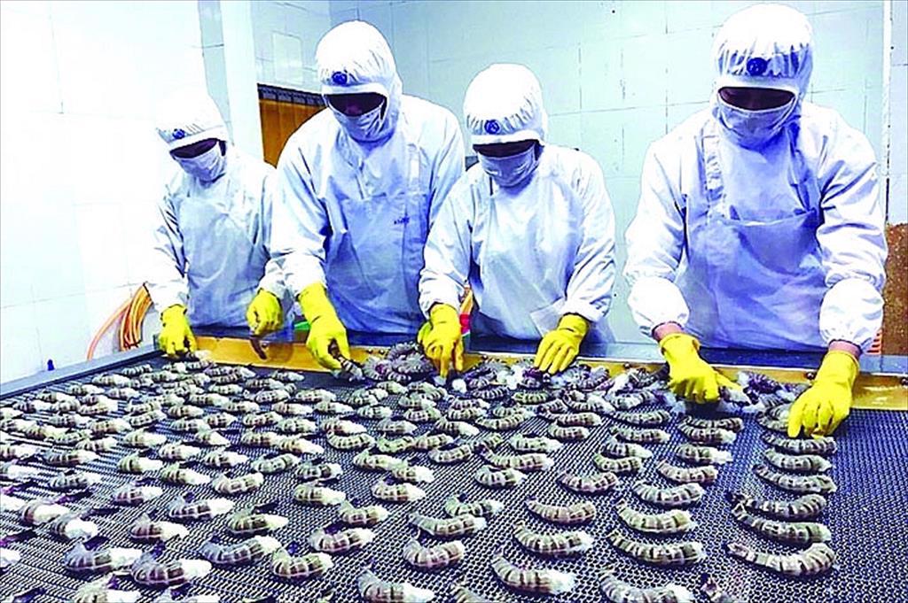 Xuất khẩu khó khăn, doanh nghiệp thủy sản điều chỉnh doanh thu năm 2023