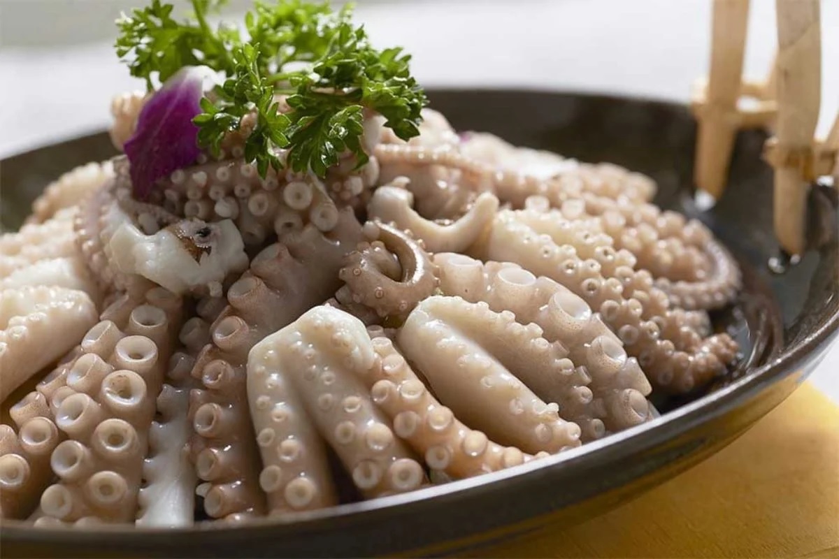 Export of cephalopods to Japan show some positive signal