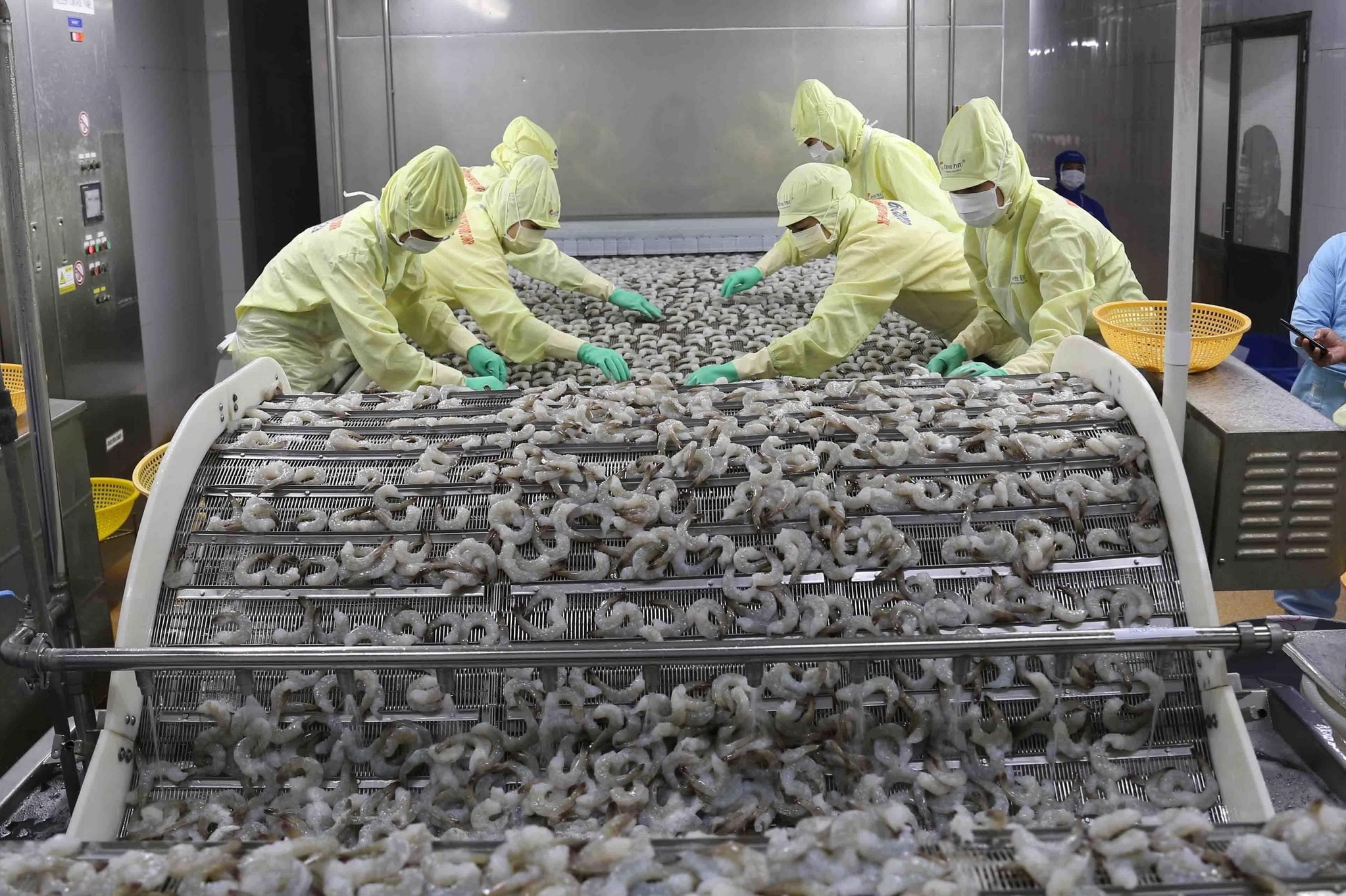 Ca Mau accounted for 21% of Vietnam’s total shrimp production in April 2023