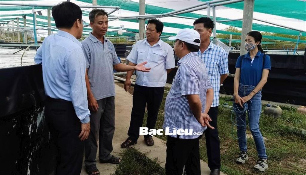Sở NNPTNT khảo sát tình hình sản xuất, nuôi trồng thủy sản vùng Nam Quốc lộ 1A