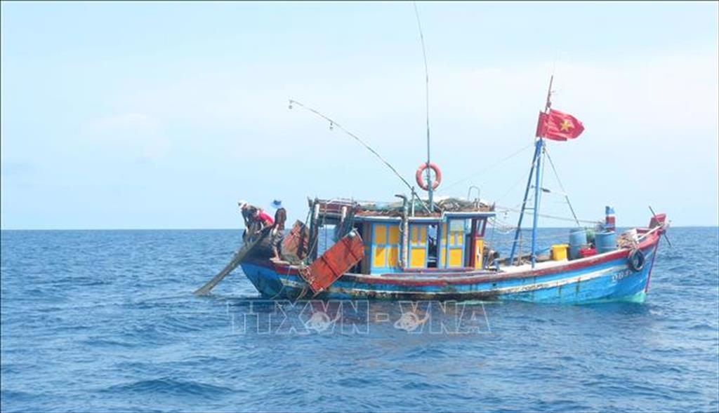 Quảng Bình tăng cường tuần tra, kiểm soát trên biển