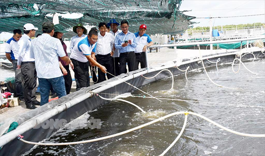 Bến Tre Kết quả nuôi trồng thủy sản trên địa bàn tỉnh