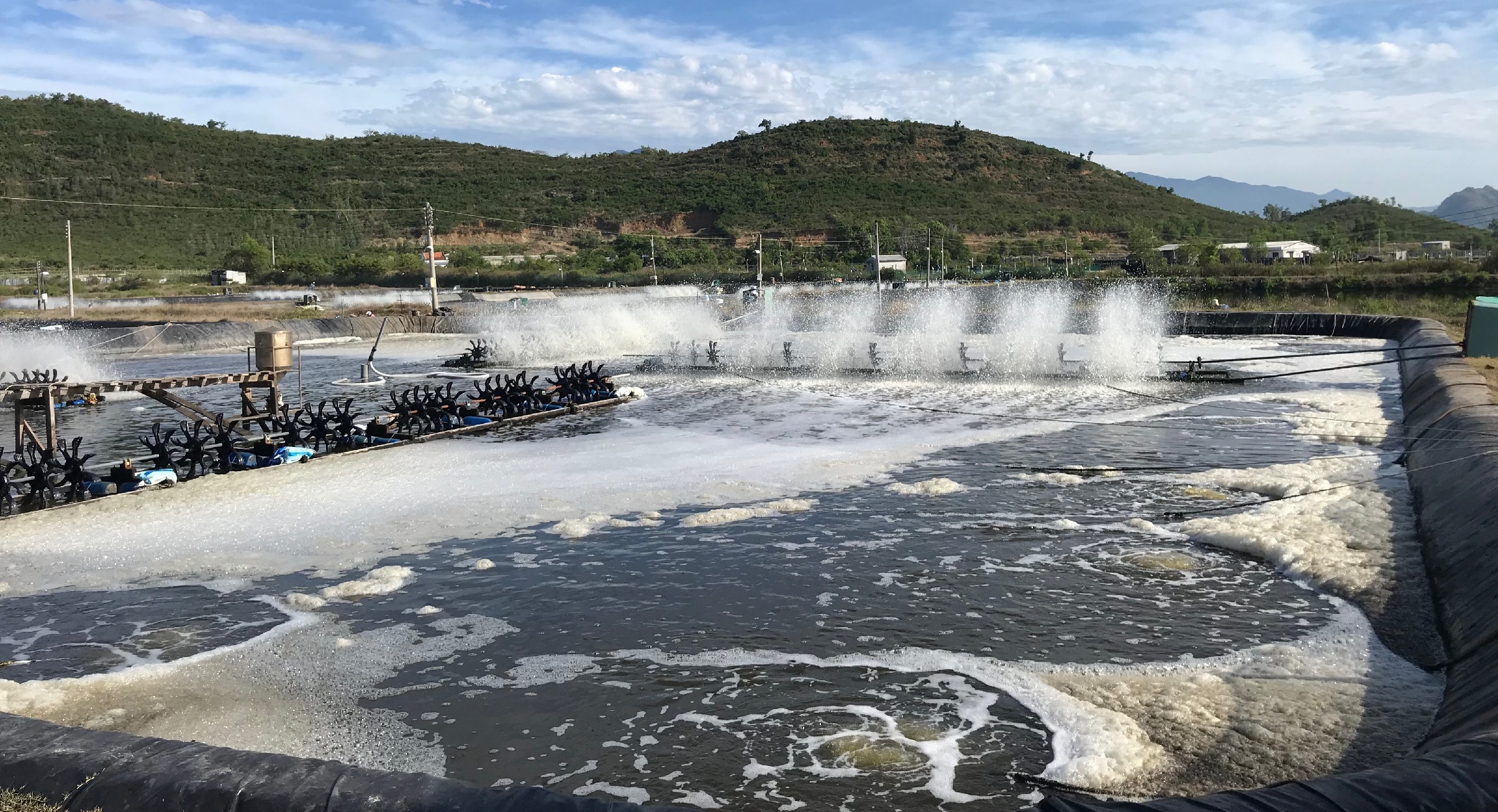 Nuôi trồng thủy sản cần đầu tư 55 tỷ USD để đáp ứng nhu cầu năm 2050