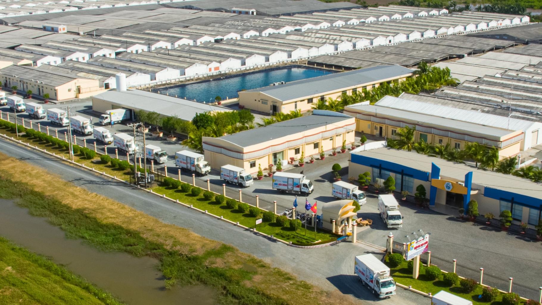 Viet Uc closes the value chain to level up Vietnamese shrimp