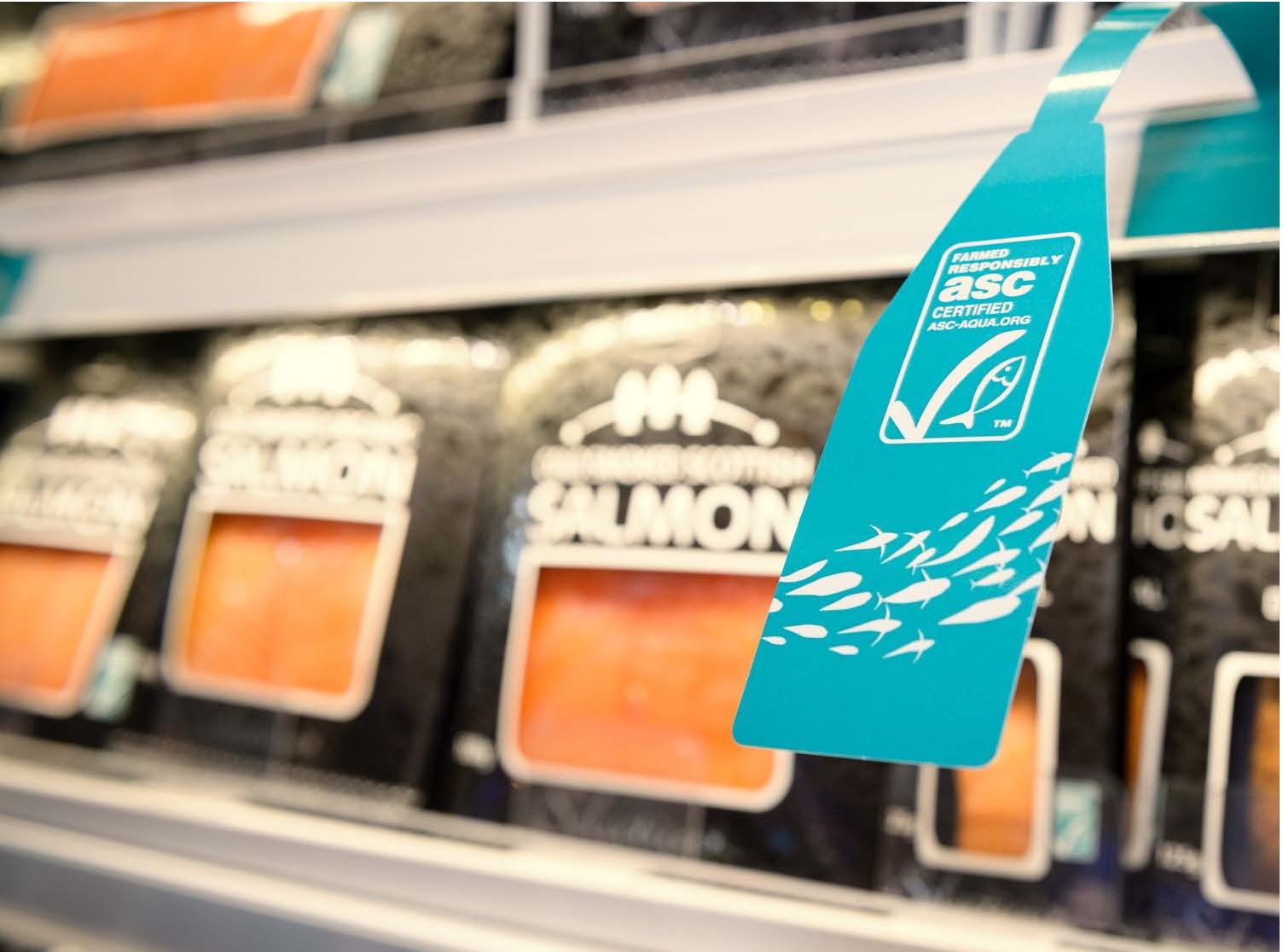 ASC cập nhật tiêu chuẩn chuỗi hành trình sản phẩm ASC CoC