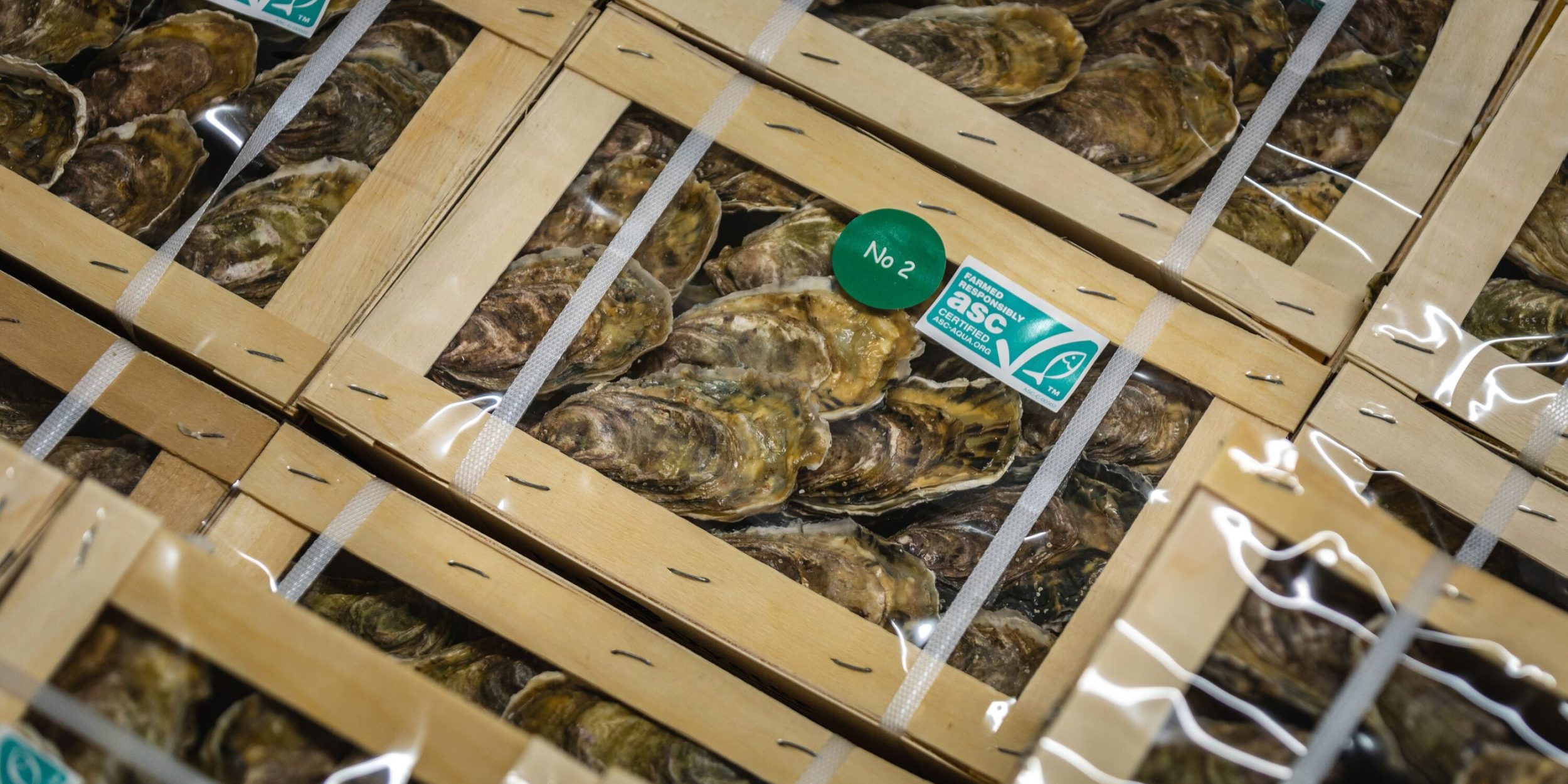 ASC mở rộng sự hiện diện tại Hàn Quốc thông qua ký MoU