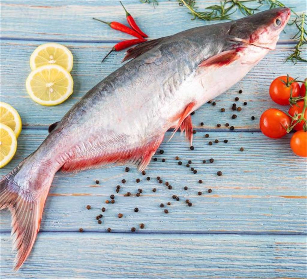 Xuất khẩu cá tra Việt Nam sang EU từng bước trở lại đường đua