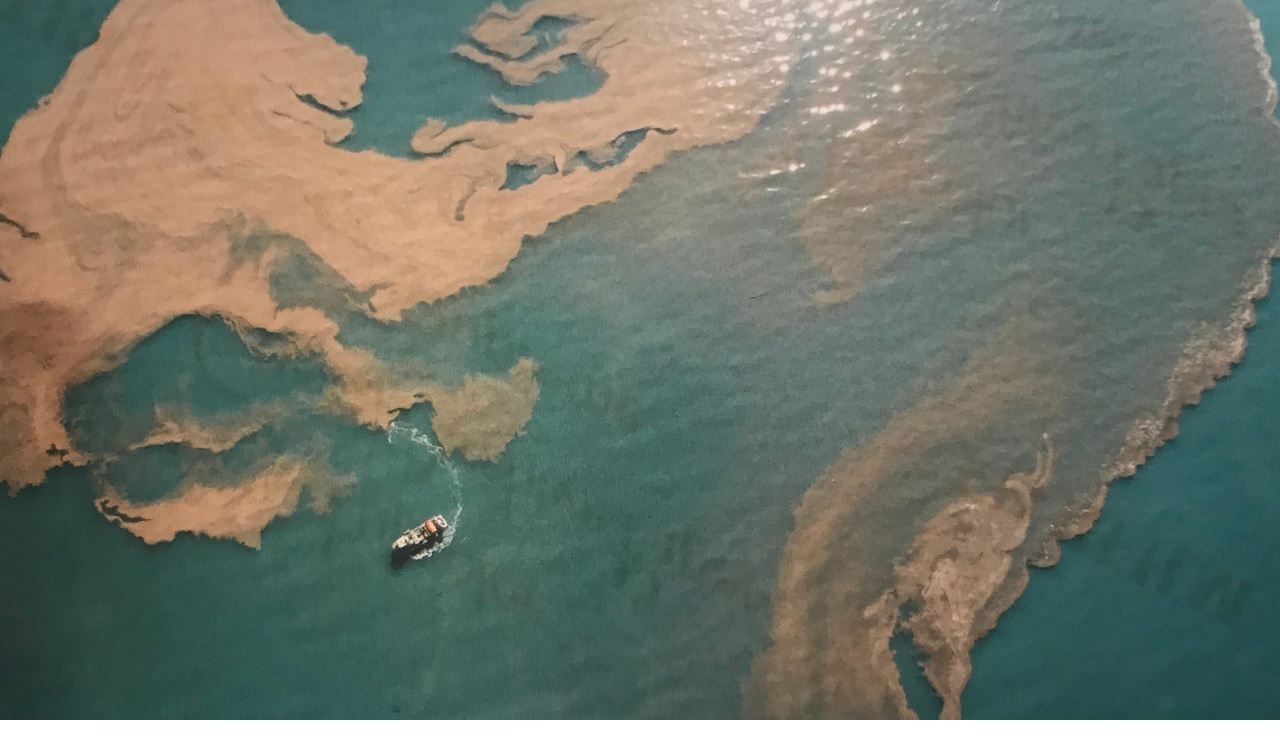 Ngư trường tôm nước mặn của Mỹ đạt chứng nhận MSC