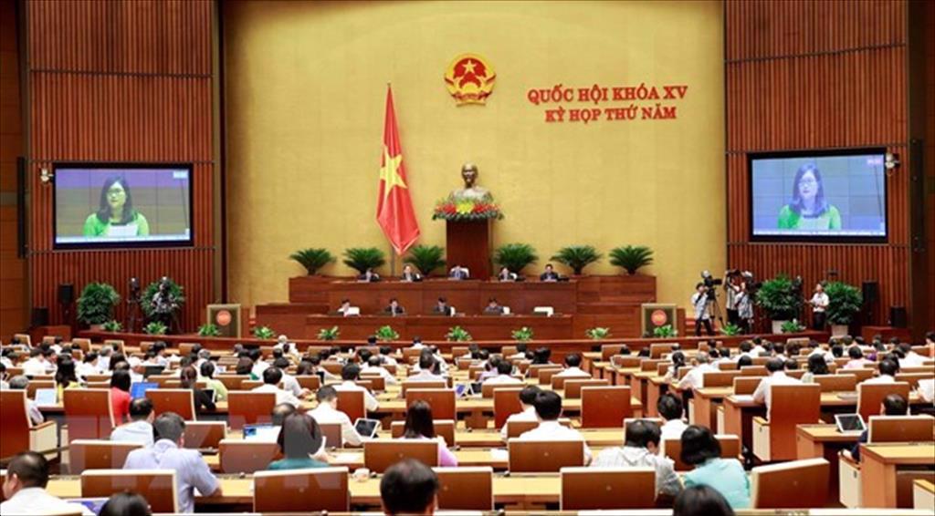 Cần có giải pháp cấp bách, chưa có tiền lệ để ‘cứu nguy’ doanh nghiệp