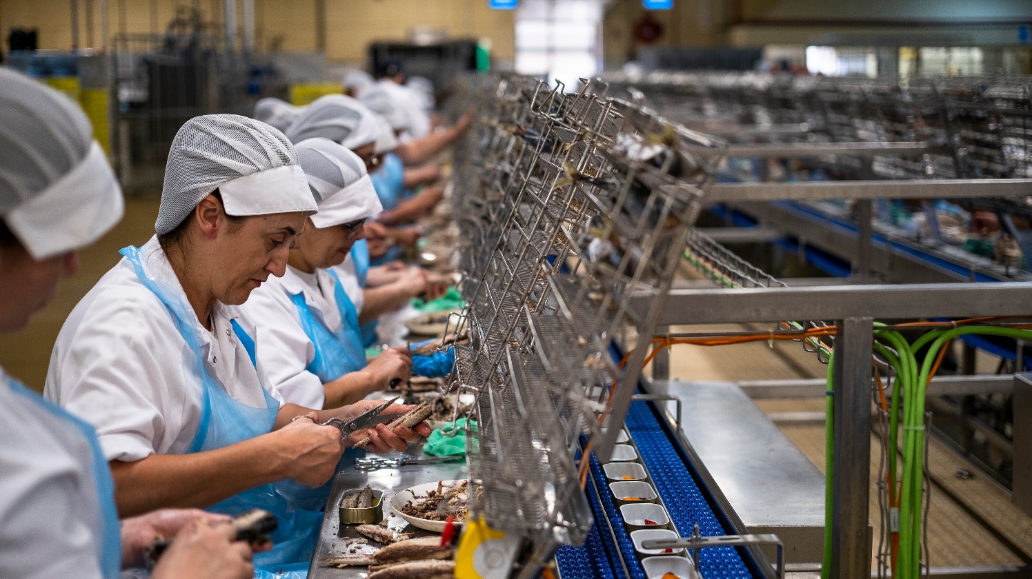 Các nhà máy đóng hộp Tây Ban Nha tuân thủ các tiêu chuẩn về lao động