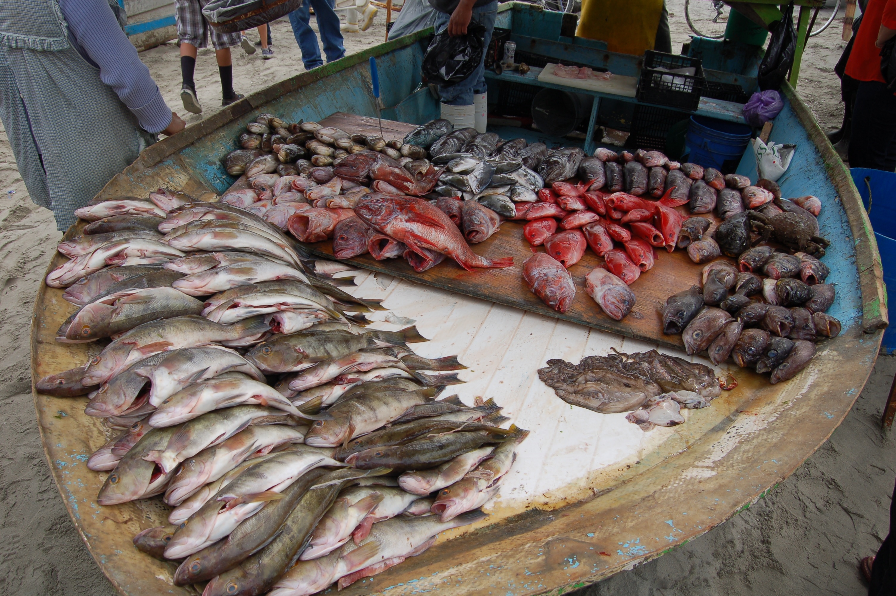 Mỹ có thể cấm nhập khẩu thủy sản từ Mexico