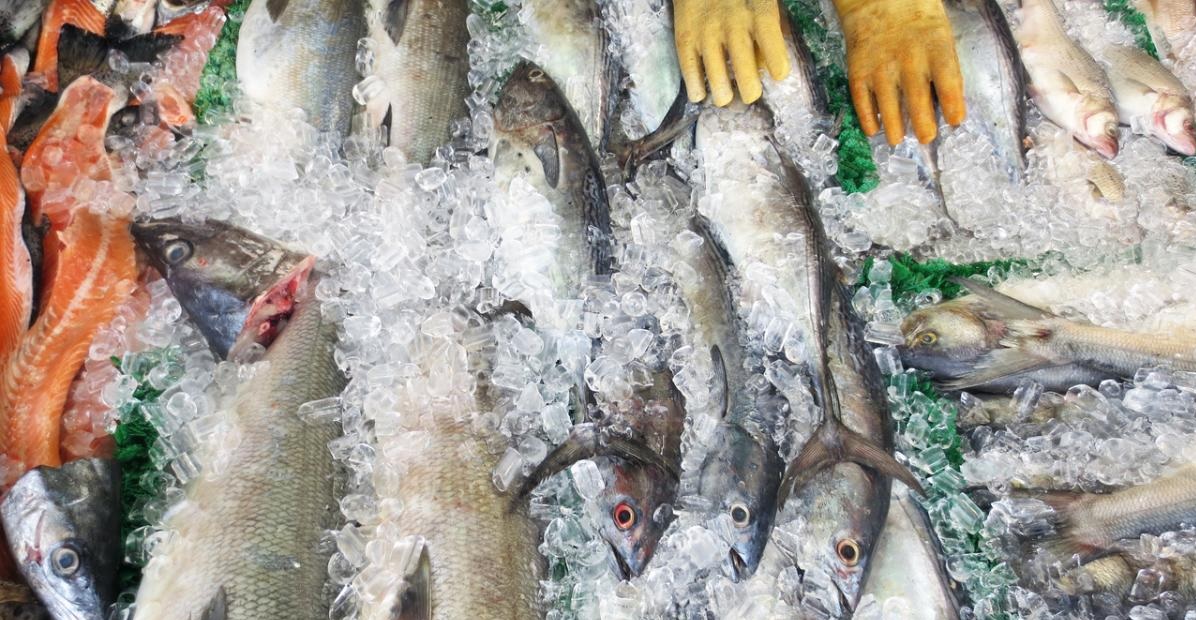 Các thượng nghị sĩ Mỹ cho rằng rằng việc mở rộng SIMP quá hẹp