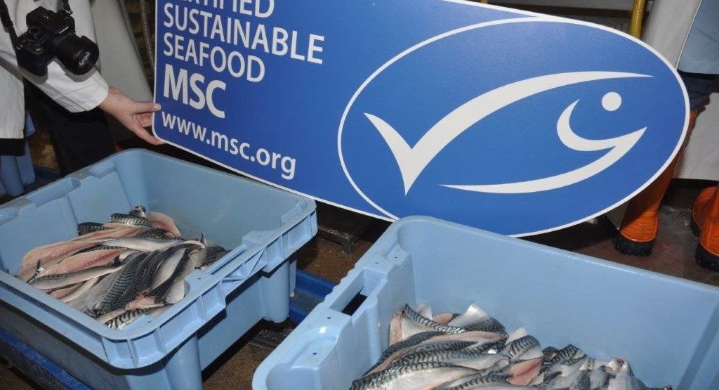 Khó dự đoán tác động của Tiêu chuẩn sửa đổi của MSC 