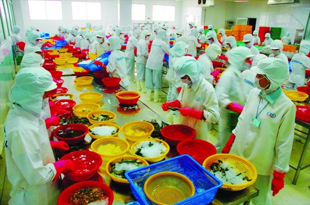 Cần đưa vai trò của người nuôi tôm lên làm trụ cột trong chuỗi giá trị con tôm