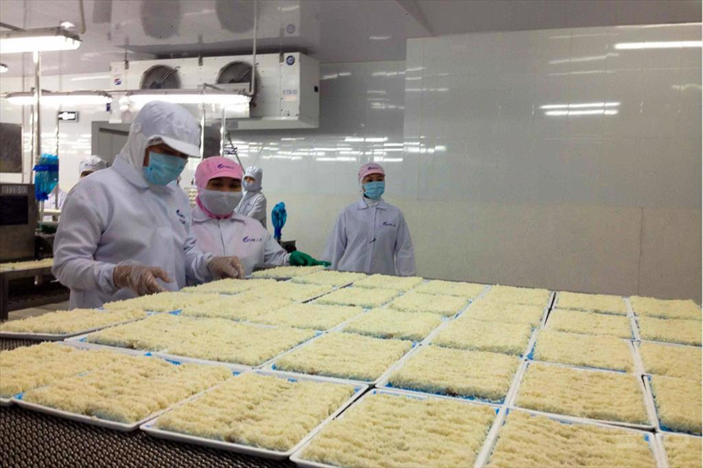 Tôi đánh giá cao VASEP trong hoạt động vận động chính sách