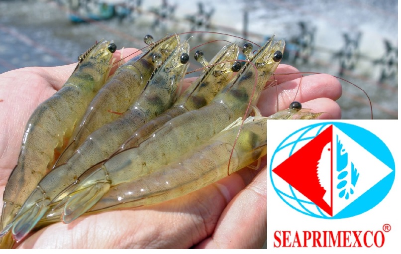 VASEP kết nối thành công doanh nghiệp với Chính phủ 