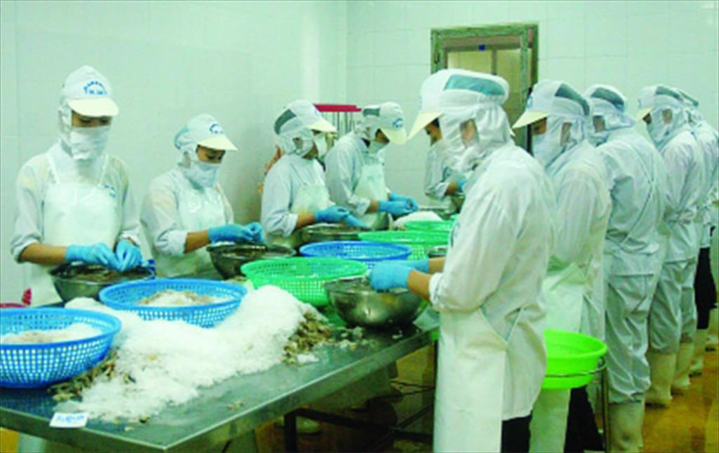 VASEP tạo cầu nối giữa doanh nghiệp và nhà nước