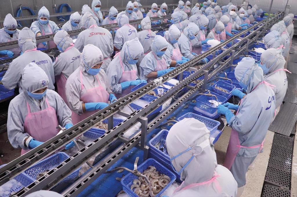 VASEP cần nhìn xa hơn để mở đường cho ngành tôm Việt Nam