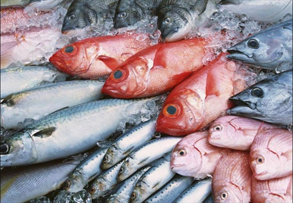 VASEP đã làm rất tốt nhiệm vụ kết nối các doanh nghiệp hội viên