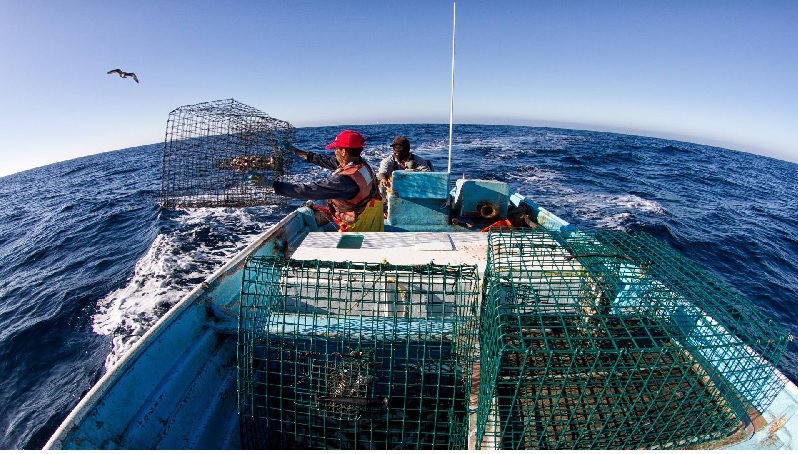 Các khu bảo tồn biển ở Mexico không mang lại hiệu quả