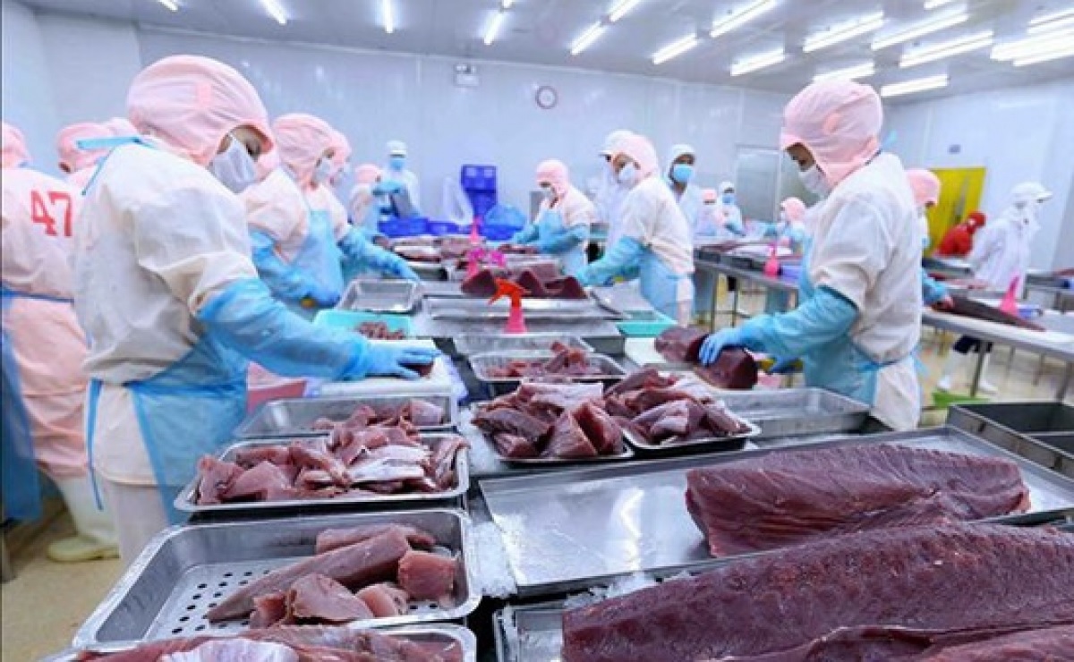 Vietnam tuna export enterprises face many challenges