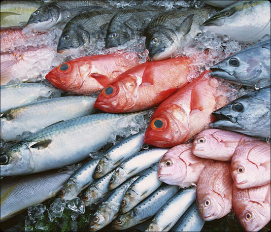 Infographic Xuất khẩu thủy sản của Việt Nam 5 tháng đầu năm 2023