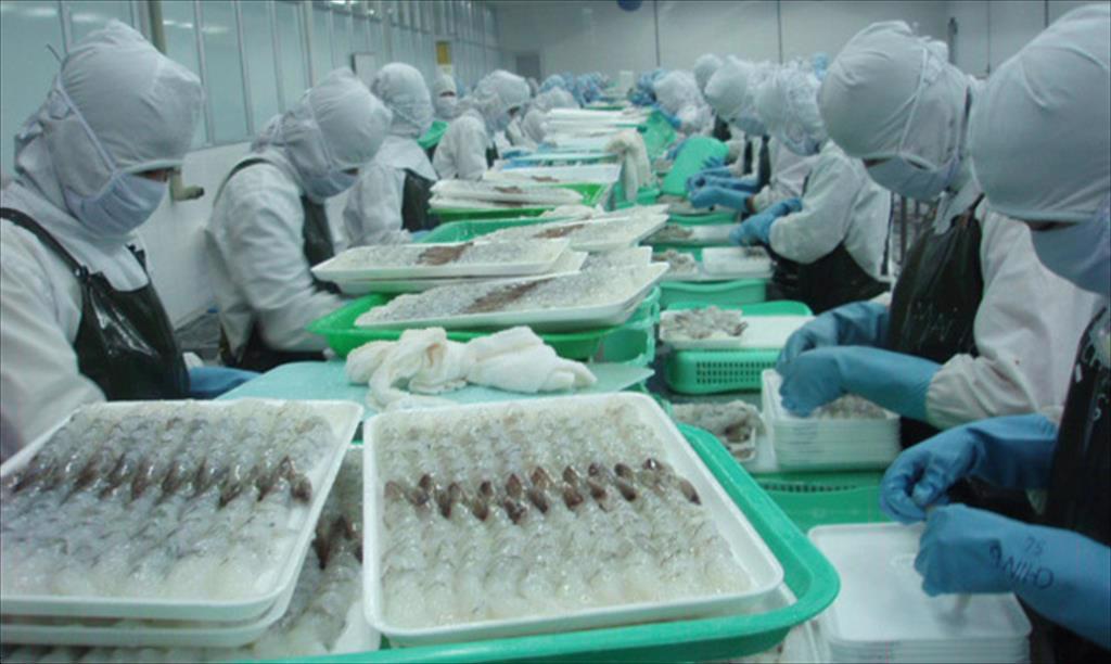 VASEP nên kết nạp nhiều hội viên để tạo thêm sức mạnh cho ngành